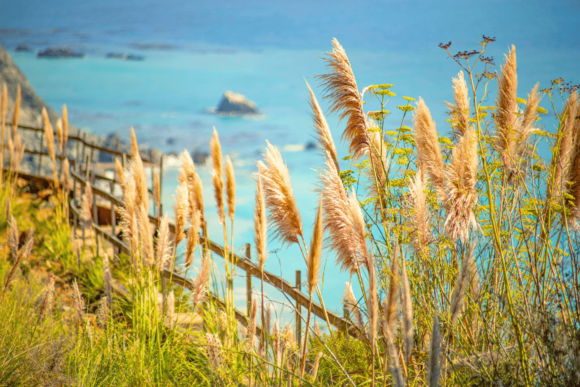 Coastal Landscape with Pampas Grass