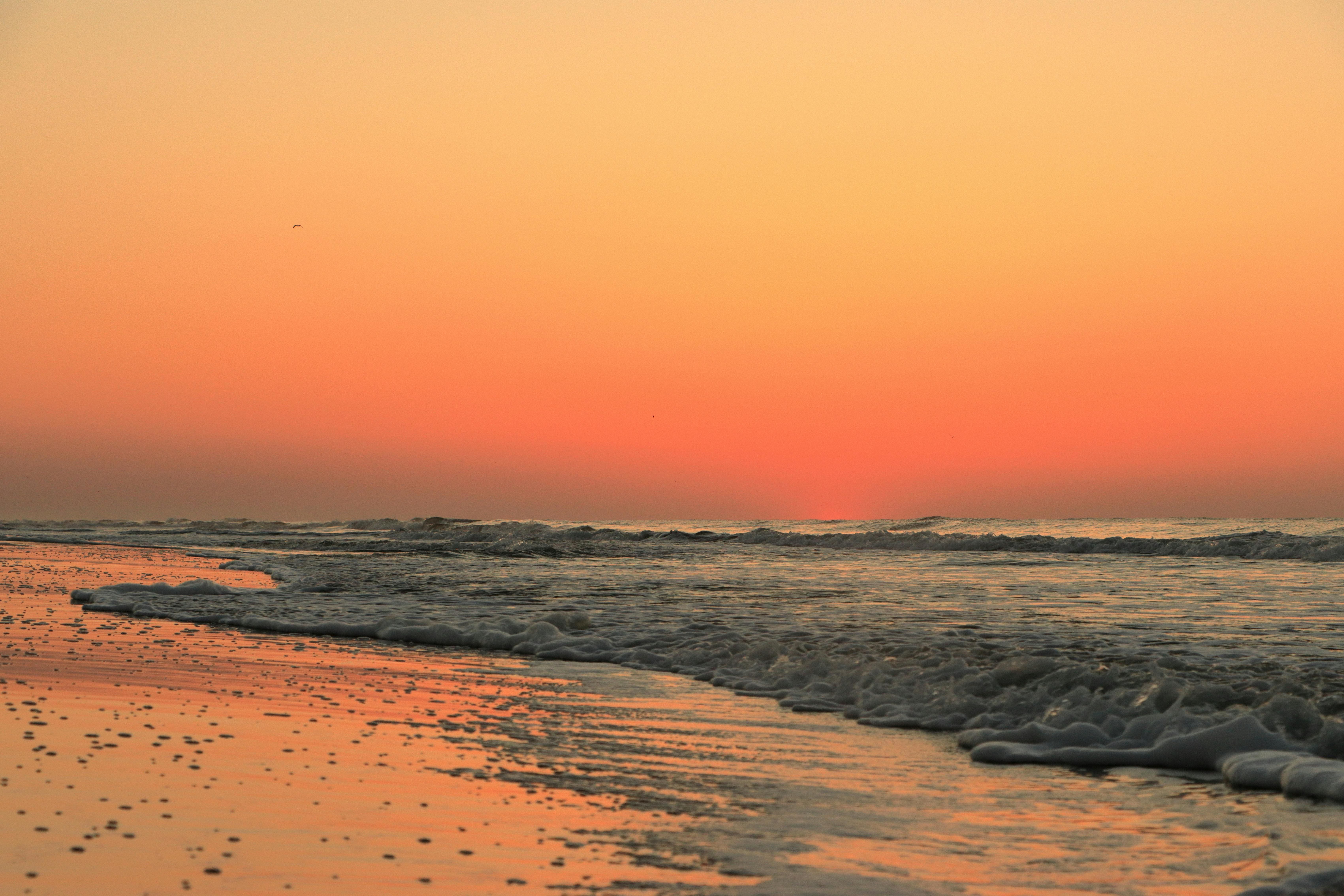 Hilton Head