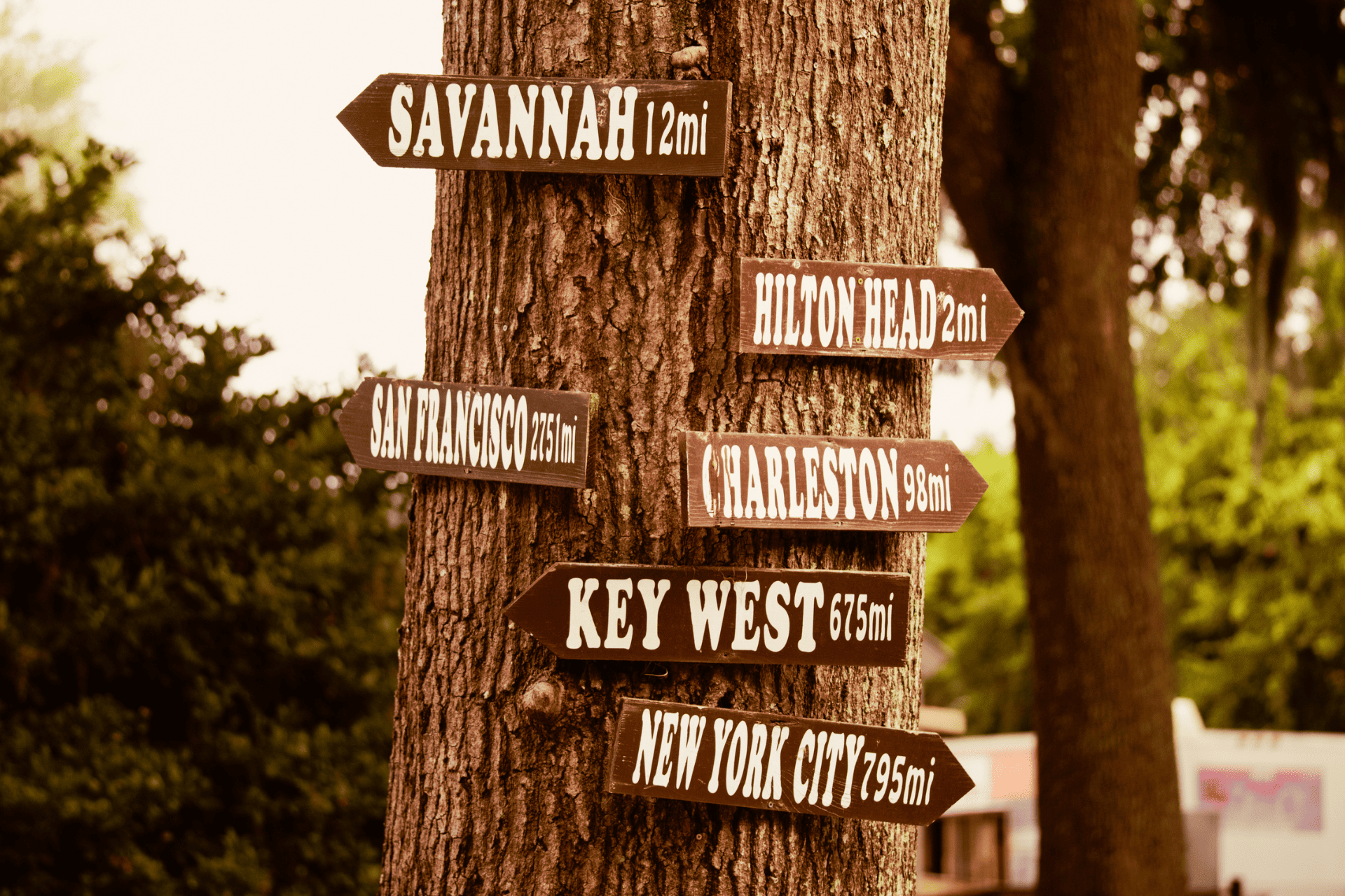 The Signs all Around Daufuskie Island