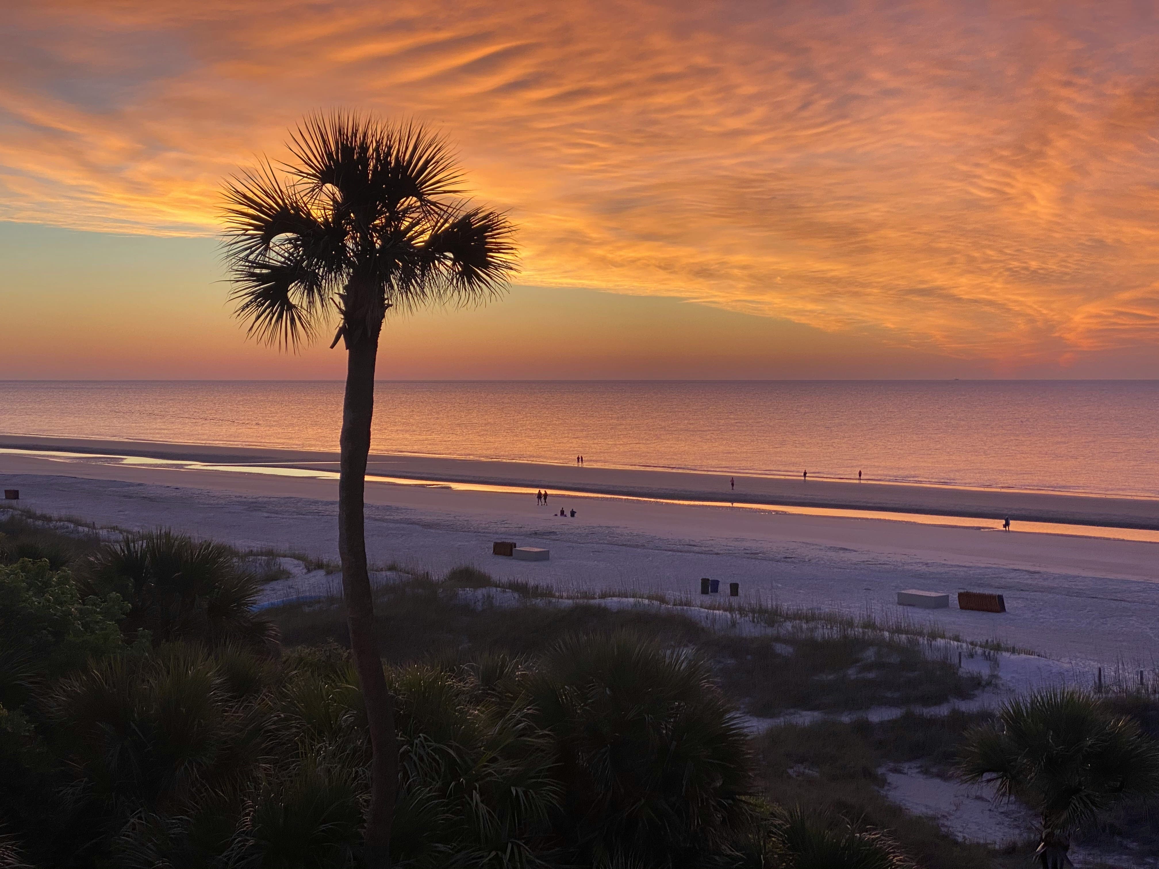 Hilton Head Island beach at sunset with palm tree silhouette and colorful sky.