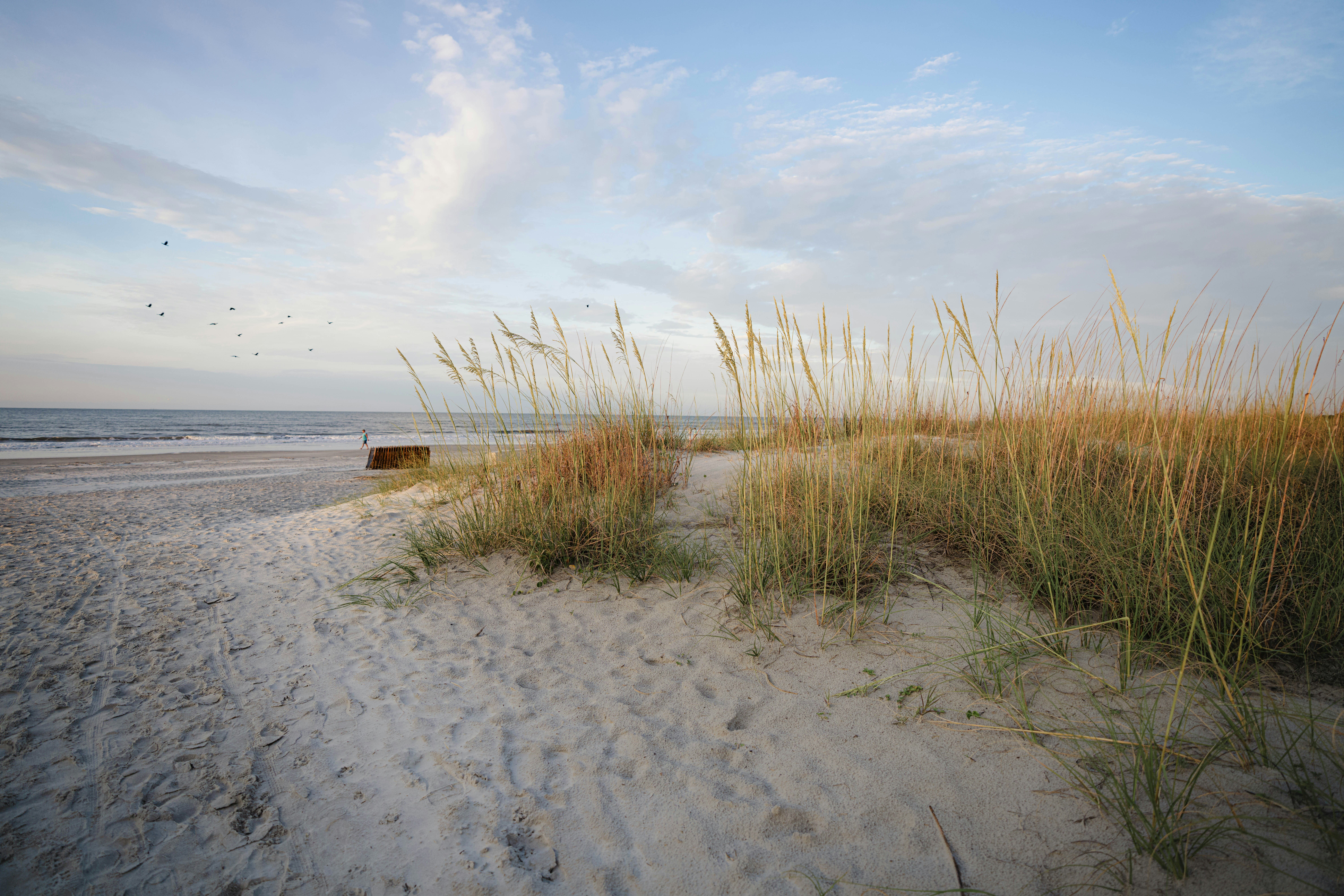 justin-fisher-4VACHanWb_8-unsplash (3)